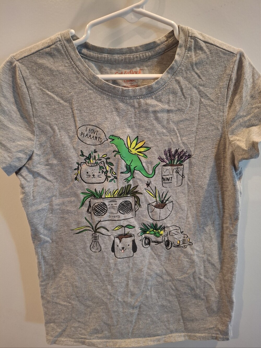 Cat & Jack Gray Tee with Green Dinosaur and Plant Graphics